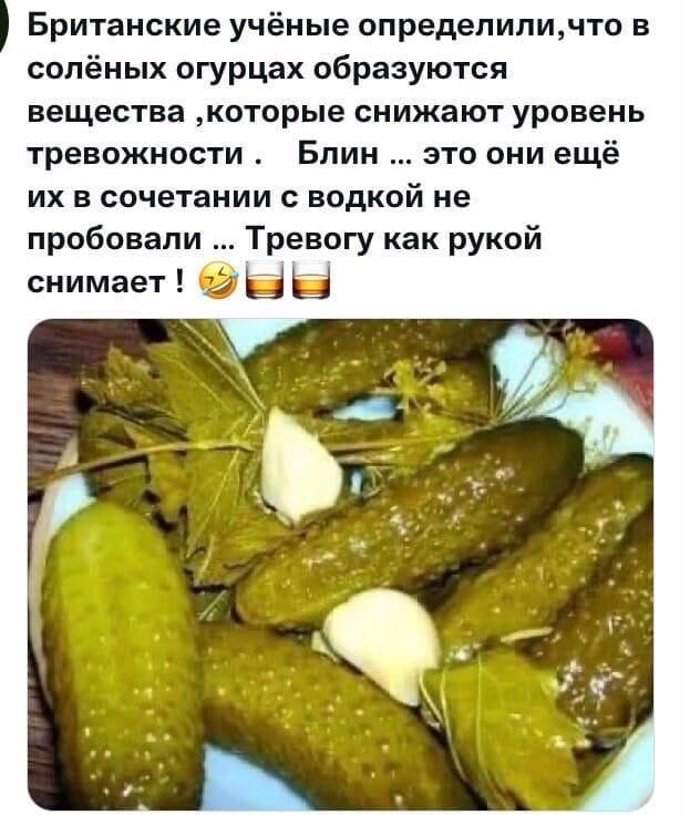 Британские учёные определиличто в солёных огурцах образуются вещества которые снижают уровень гревожности Блин это они ещё их в сочетании с водкой не пробовали Треногу как рукой снимает _ _