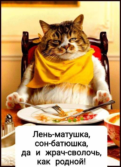Лень матушка сон батюшка да и жрачсволочь как родной