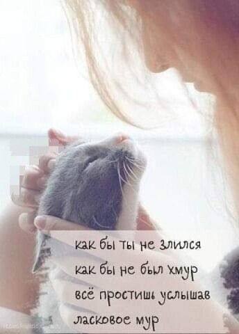 ы не был жид все простит дальним _ шкивов мур