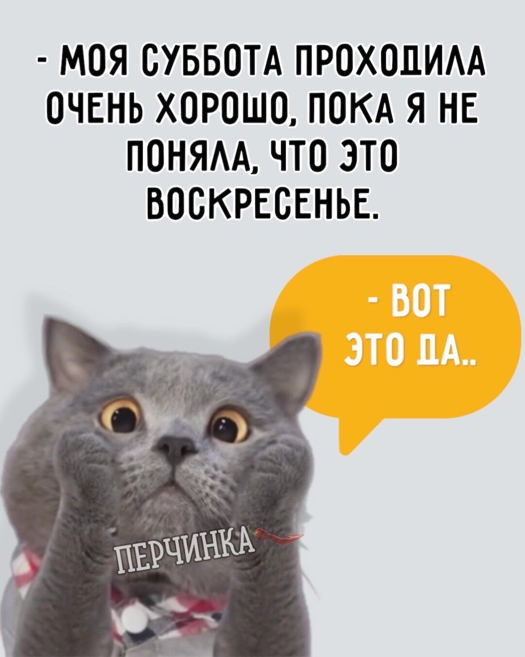МОЯ СУББОТА ПРОХОПИАА ОЧЕНЬ ХОРОШО ПОКА Я НЕ ПОНЯАА ЧТО ЭТО ВОСКРЕСЕНЬЕ