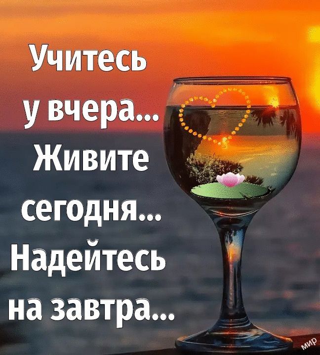 Учитесь увчера Живите 3 сегодня Надейтесь на завтра