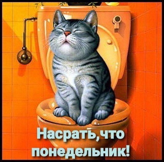 понедельник