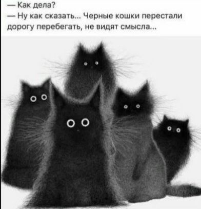 КП дВЛа _ Ну как сказачь Черные кеш перестали порогу перебшзіь не видн смысла