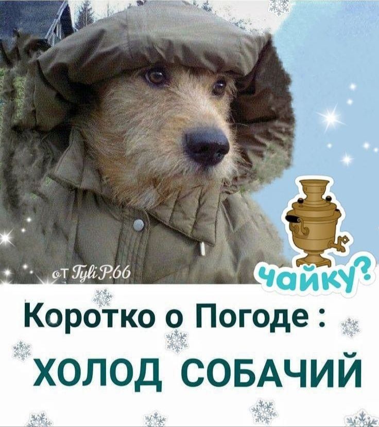 Коротко о Погоде холод совАчий