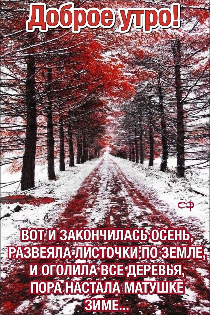 РАЗВЕЯЛАіЛИСТОЧКИ ПО ЗЕМЛЕЁ И 0Г0ЛИЛ_А_ВСЕ ДЁРЕВБЯ _зъ повА НАсТАЛА МАтуШ ЖЗИМЬ