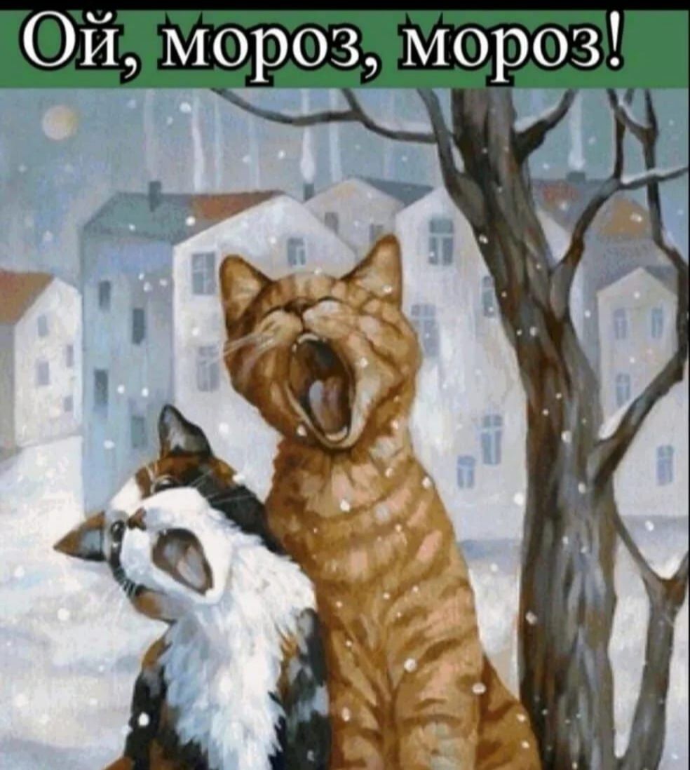 Ой мороз мороз