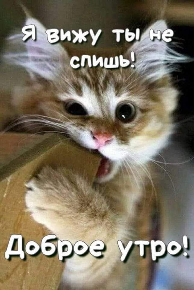 ижу ты спишь