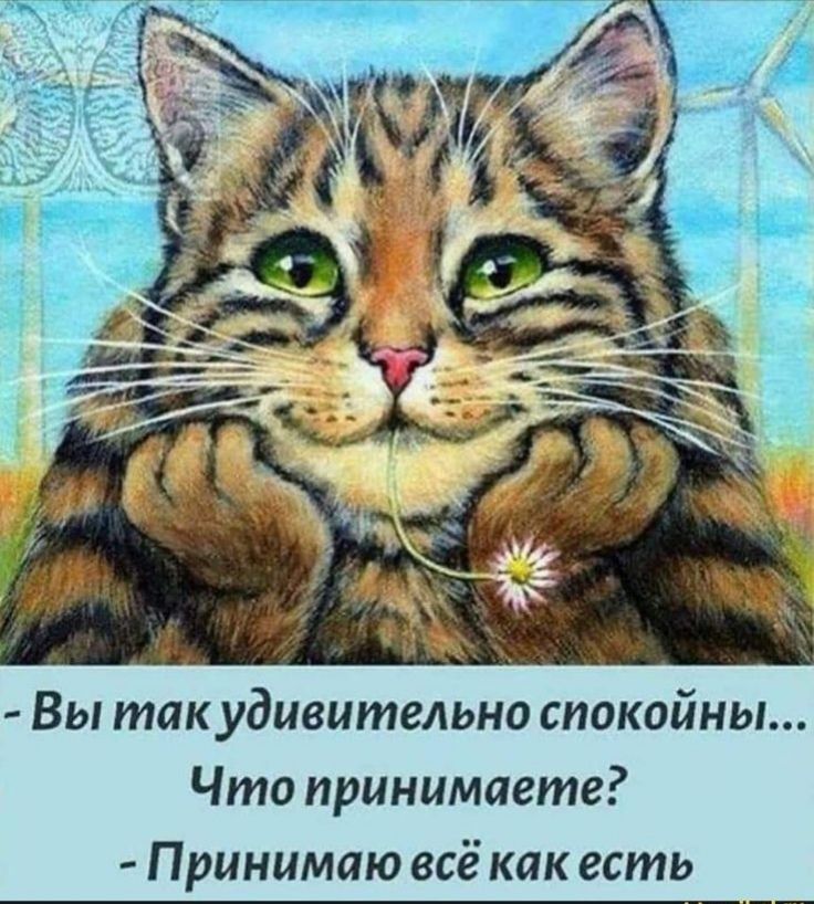 Что принимаете Принимаю всё как есть