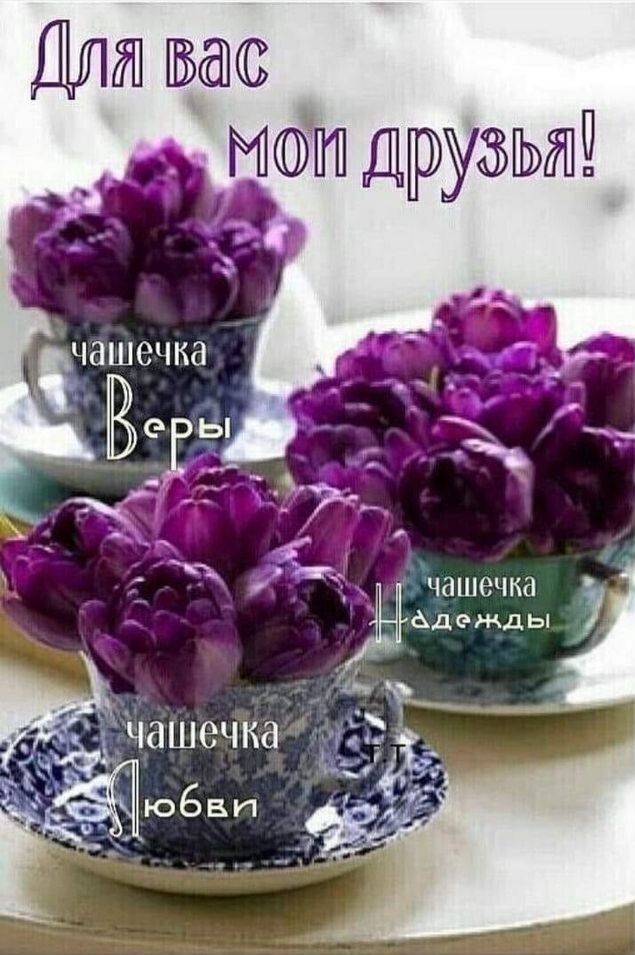 Щит Друззгыпд _ Чашечка Вт _ чашечка адемды чашечка