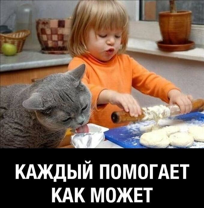 кдждый ПОМОГАЕТ КАК можнт
