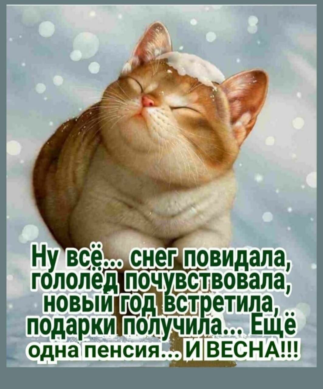 Ну вед снег повидала гололед поч _в_щвовапа новыи год сш етила __ подарки получи а Еще одна пенсия И ВЕСНА