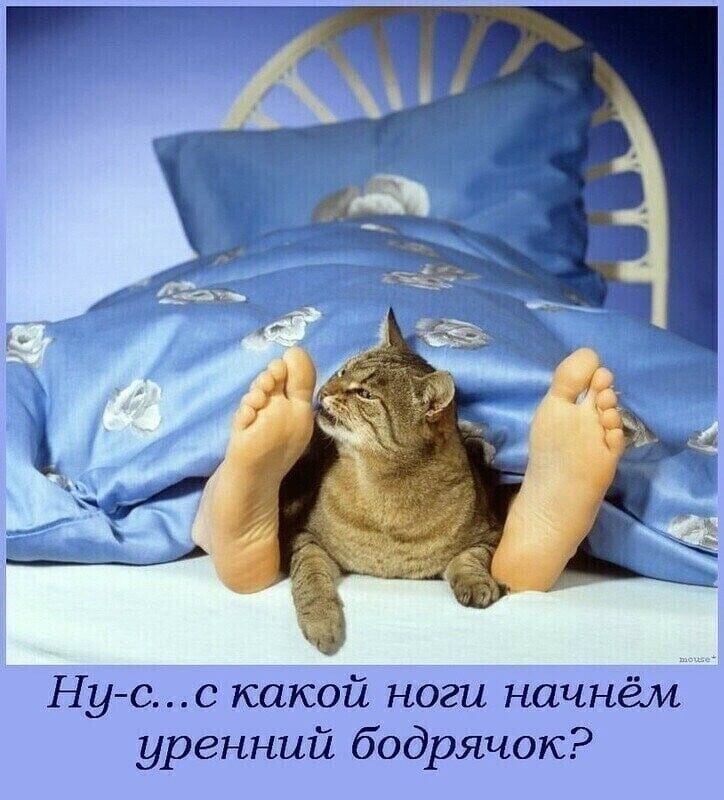 Нусс какой ноги начнём уренний бодрячок