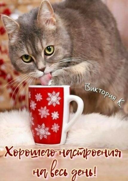 Хэршдшвтчпщртищ и геев нь
