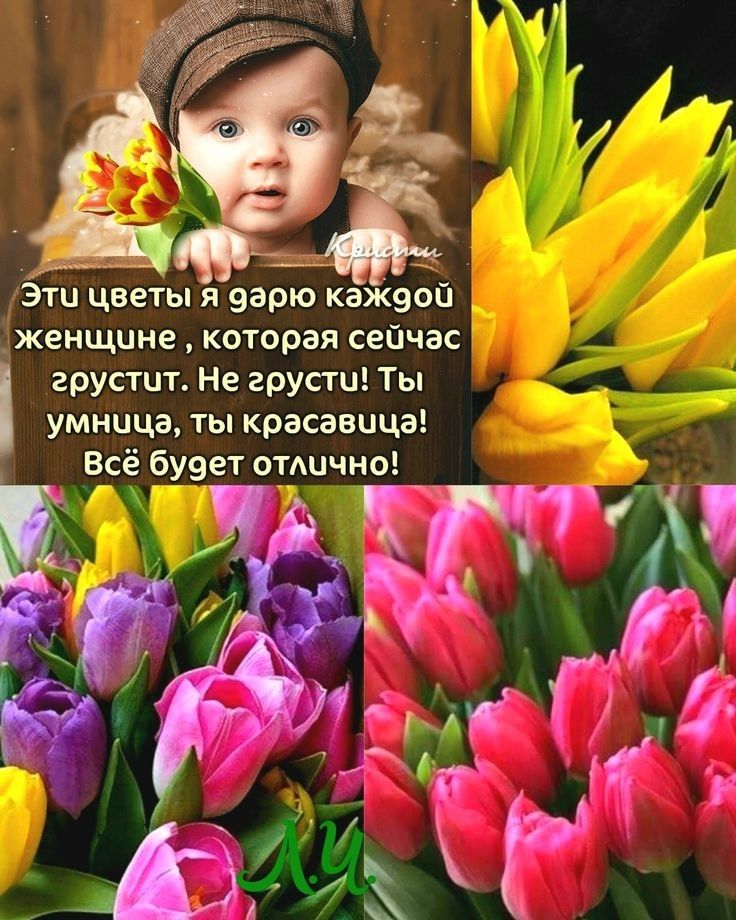 Эти цветы я варю кажеоп женщине которая сейчас грустит Не грусти Ты умница ты красавица Всё буэет отшчно