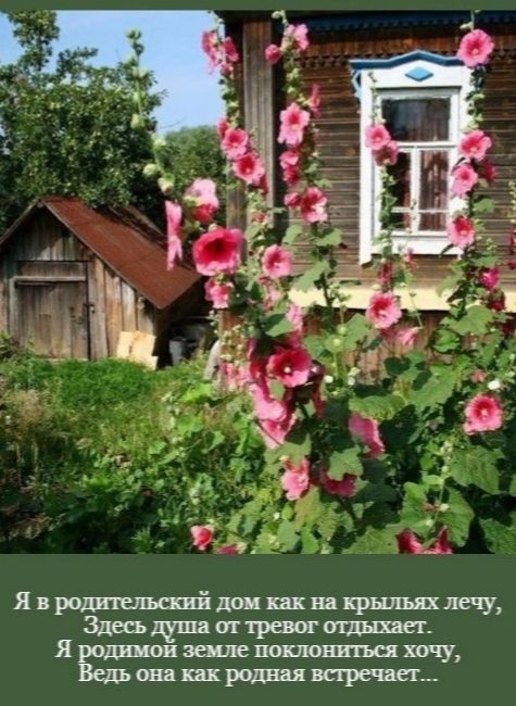 Ядродвтшпідоишнакрнлшлечу Здесьщшиттревогаштдает Яродлиоиэешюпоклопвтшшчу Непошшроднддвпречвп