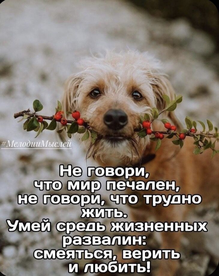 смятьсядверить илюбить Ы