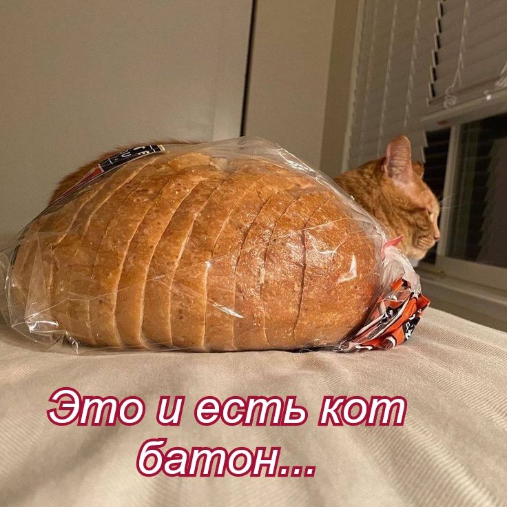 шпть