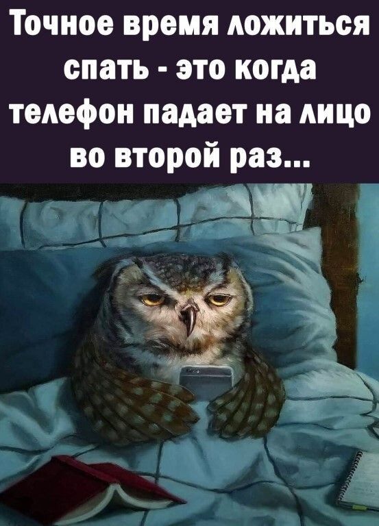 Точное время ложиться спать это когда телефон падает на лицо во второй раз _