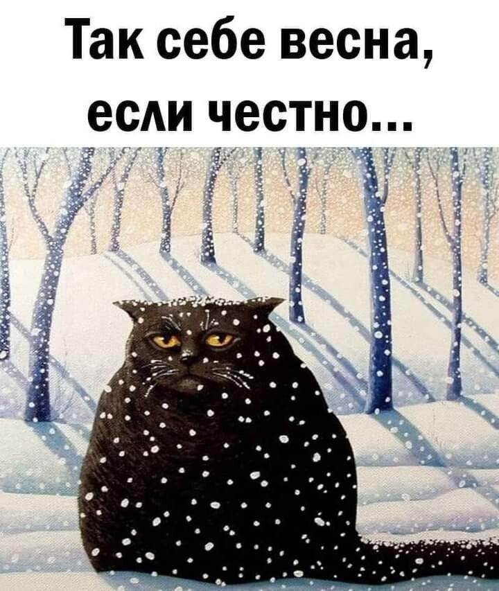 ммм Так себе весна есди честно Ё Е Ё и__д ___