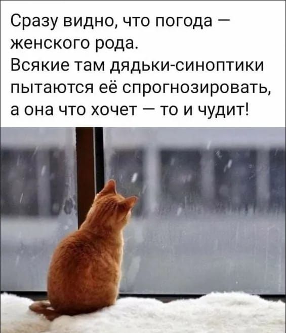 Сразу видно что погода женского рода Всякие там дядькисиноптики пытаются её спрогнозировать а она что хочет то и чудит
