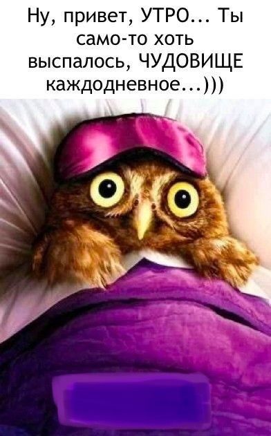 Ну привет УТРО Ты само то хоть выспалось ЧУДОВИЩЕ каждодневное