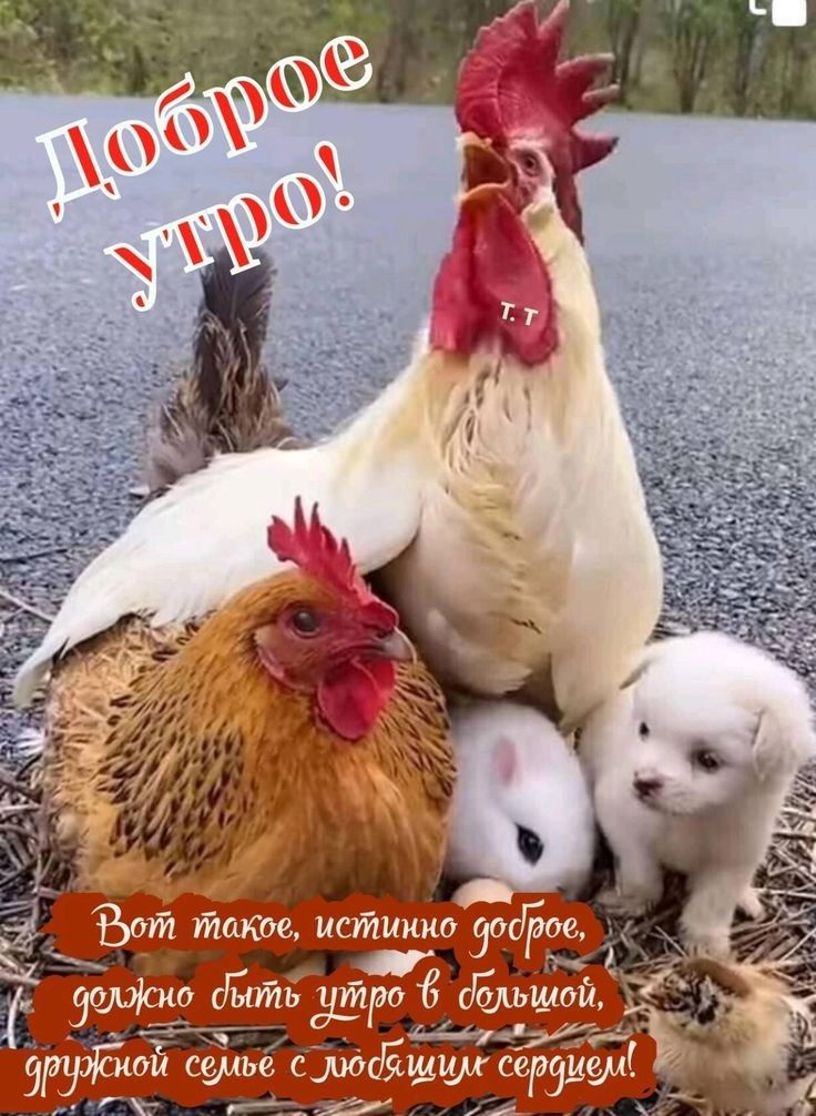 ав Фот такое истинно ъ быть ЦЁР 6 дёььшпи РоЗларо
