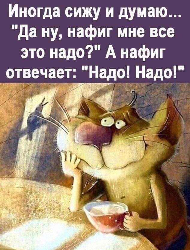 ИНОГда сижу и думаю да ну нафиг мне все это надо А нафиг