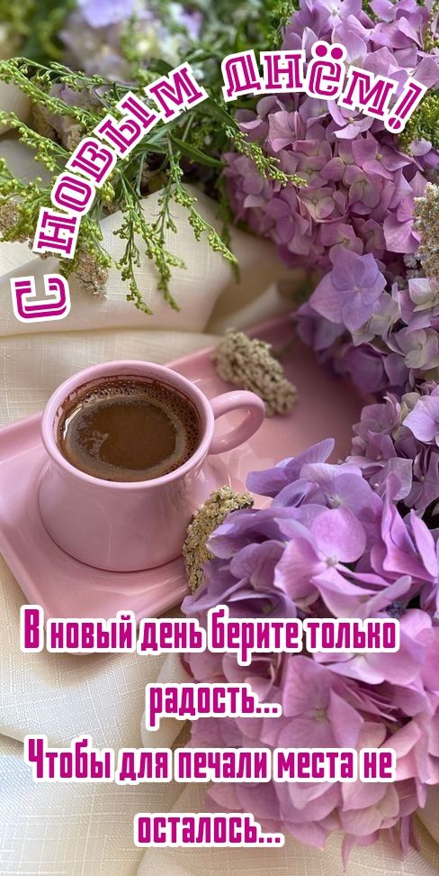 А_ Мпиыйшень Берите тппьнп т и