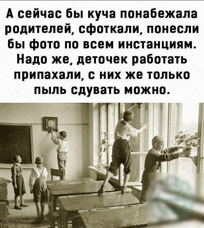 А сейчас бы куча понабежала родителей сфоткали понесли бы фото по всем инстанциям Надо же деточек работать припахали них же только пыль сдувать можно