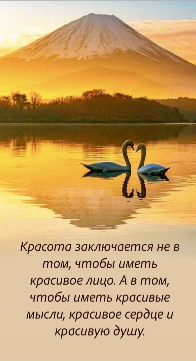 Красота заключается не в том чтобы иметь красивое лицо А в том чтобы иметь красивые мысли красивое сердце и красивую душу