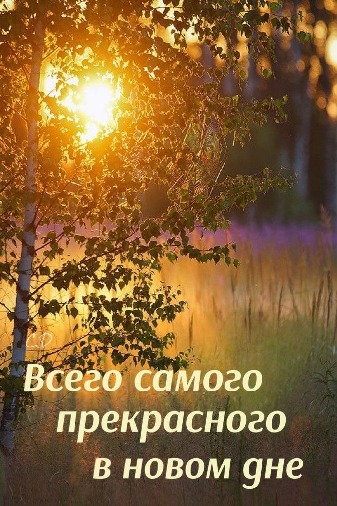 о прекрасного в новом уне