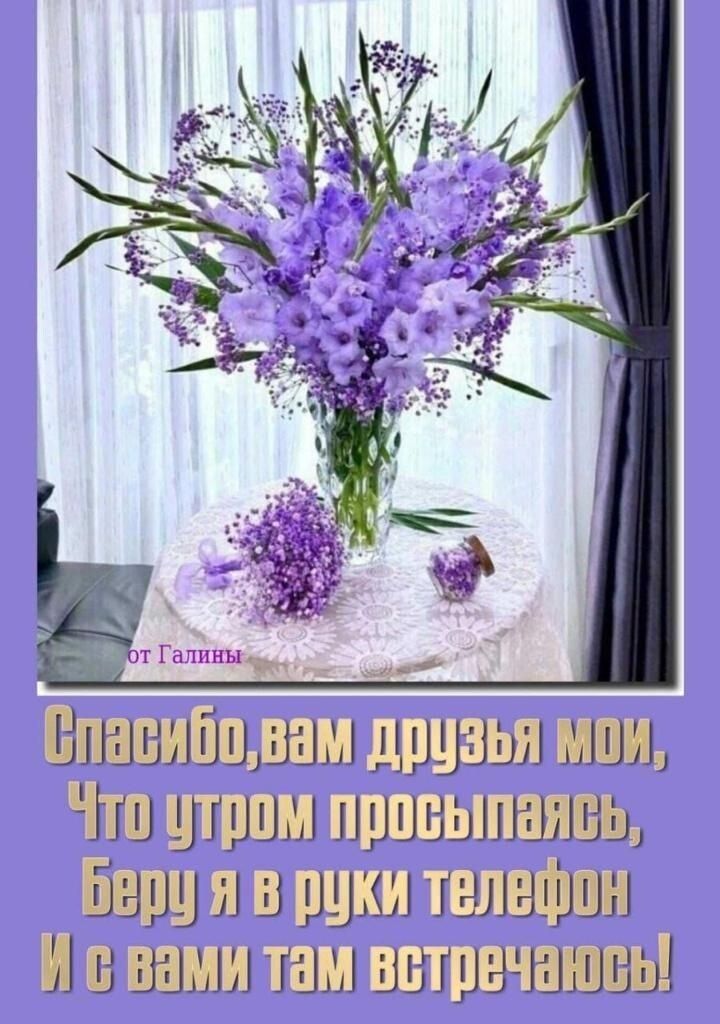 шщшш щшзшъ шишмч принтхшшщ 949 и 3 51 тгалафшн чаш ишуаашщы