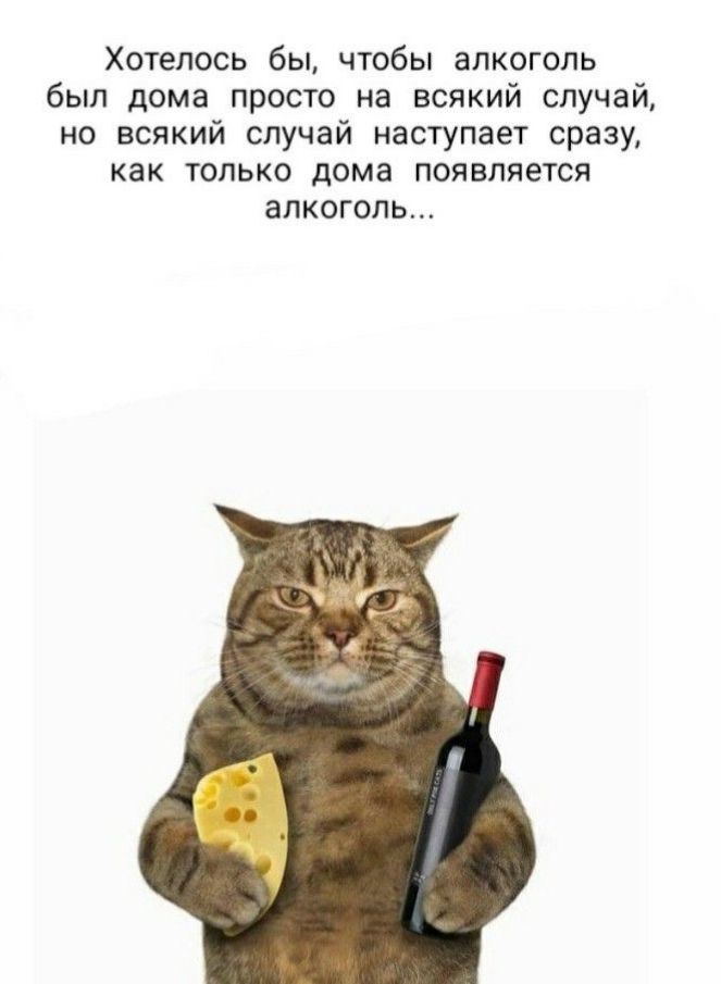 Хотелось бы чтобы алкоголь был дома просто на всякий случай но всякий случай наступает сразу как ТОЛЬКО дома появляется алкоголь
