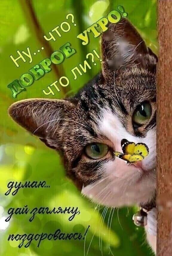 инт пгт гч _ь