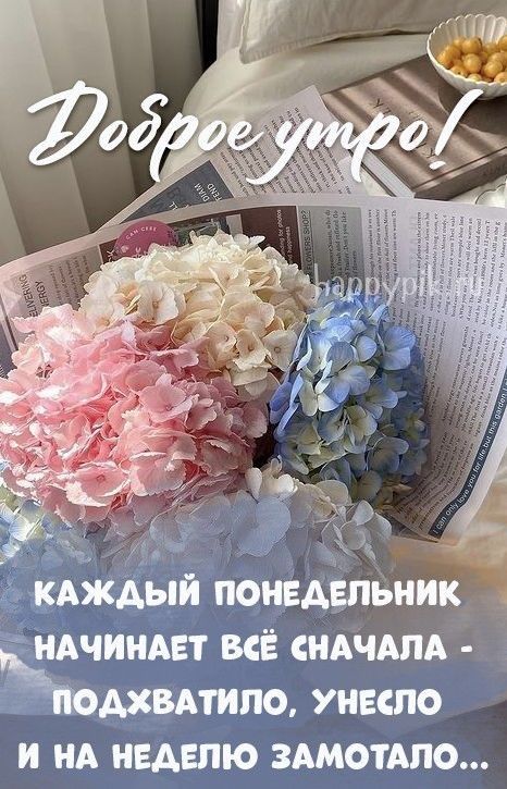 а кк кдждый понвдвпьник НАЧИНАЕТ всЁ нАчАлд митино унесло и А неделю здмотАпо