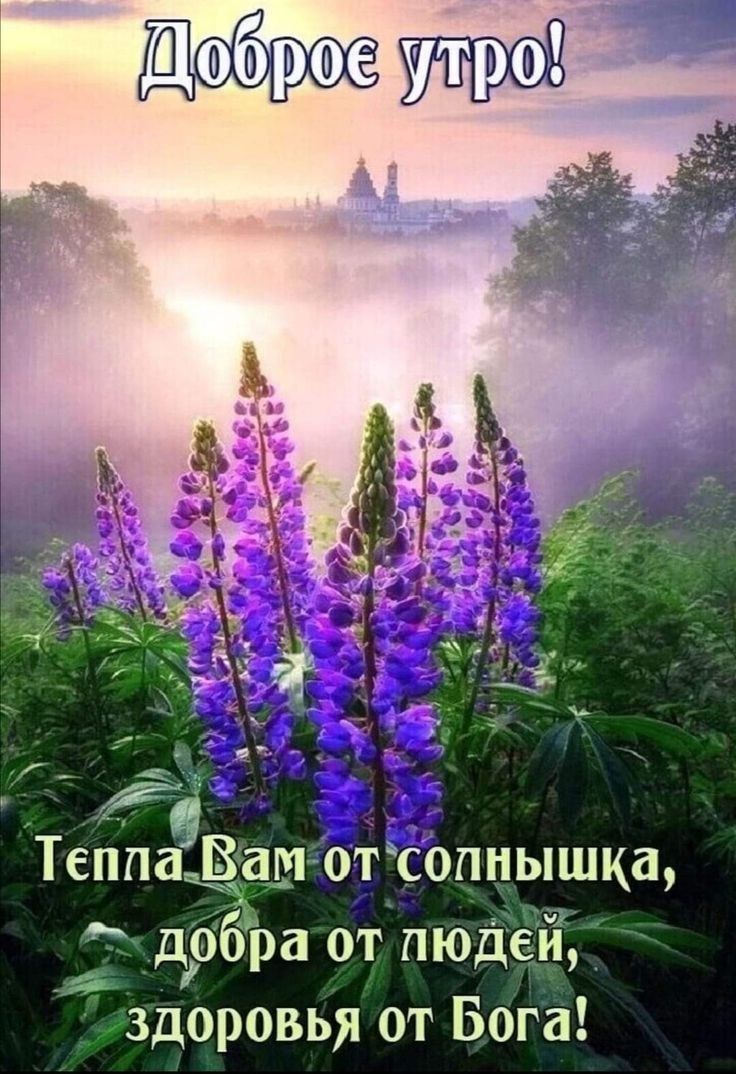 доброеу Тепла _ам от опнышка добра от людей здоровья от Бога