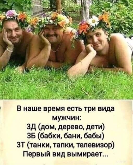 В наше время есть три вида мужчин зд дом дерево дети 35 бабки бани бабы ЗТ танки тапки телевизор Первый вид вымирает