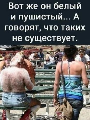 Вот же он белый и пушистый А говорят что таких не существует