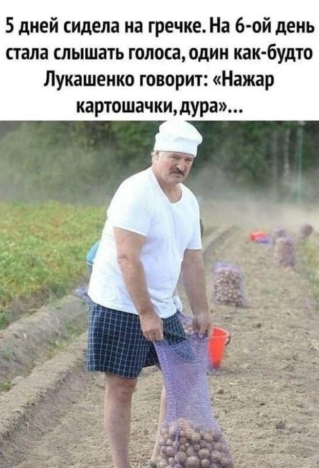 5 дней сидела на гречке На 6 ой день пала слышать голоса один как будто Лукашенко творит Нажар картошачкидура ч