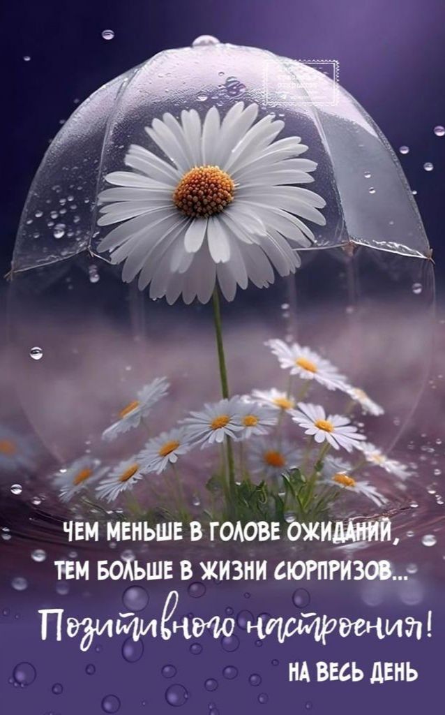 чём меньше в гатве шит ТЕМ БОХЬШЕ В ЖИЗНИ ШРИЗЩЁ Пэдишмёцщ кариотип ИАВЕФЬ дЕНЬ