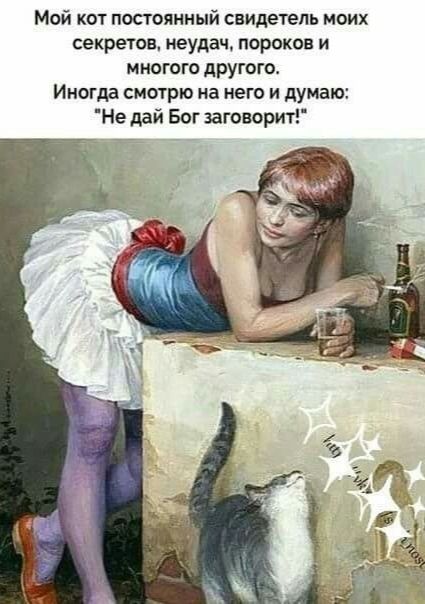 Мой кот постоянный свидетель моих секретов неудач пороков и многого другого Иногда смоурю на него и думаю Не дай Бог заговдрит