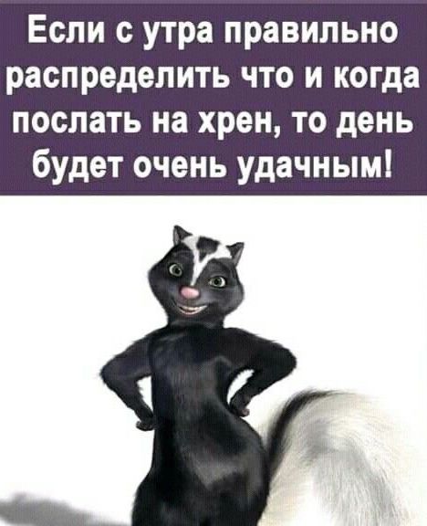 Если с утра правильно распределить что и когда послать на хрен то день будет очень удачным
