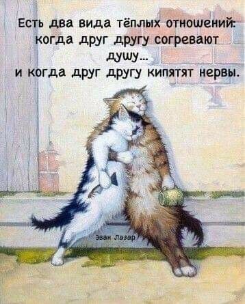 Есть два вида тёплый отношений когда друг другу согревают душу _ _ __ и когда дрУг другу кипятят нервы