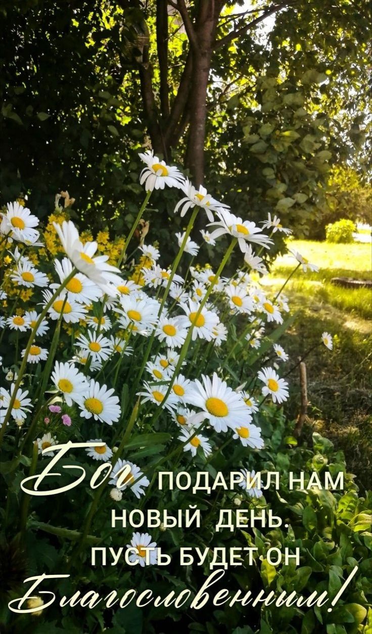 новый дЁнь пуйэ БУДЕТ он Бригадирэммм
