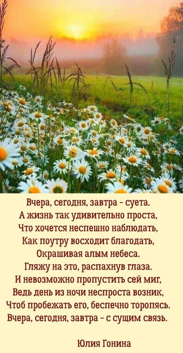 Вчера сегодня завтра суета А жизнь так удивительно проста Что хочется неспешно наблюдать Как поутру восходит благодать Окрашивая алым небеса Гляжу на это распахнув глаза И невозможно пропустить сей миг Ведь день из ночи неспроста возник Чтоб пробежать его беспечно торопясь Вчера сегодня завтра с сущим связь Юлия Гонина