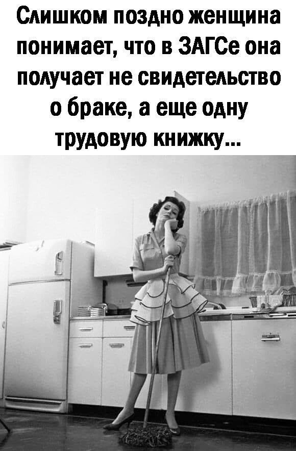 Слишком поздно женщина понимает что в ЗАГСе она подучает не свидетельство о браке а еще одну трудовую книжку