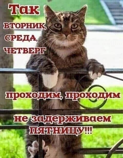 проходи __А _ т 4 7 ч