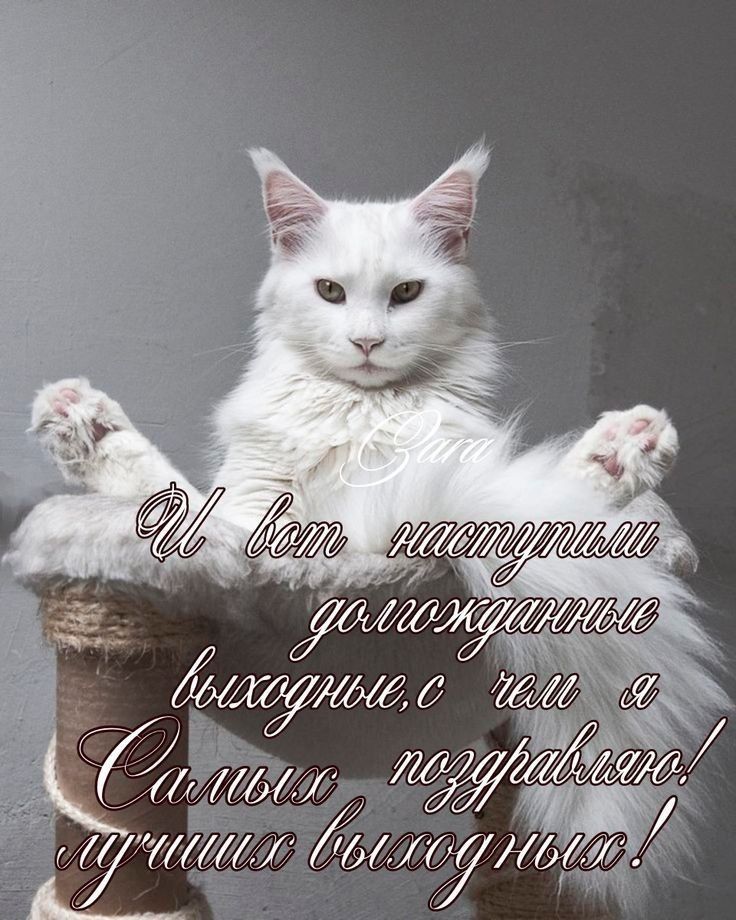 _ 1