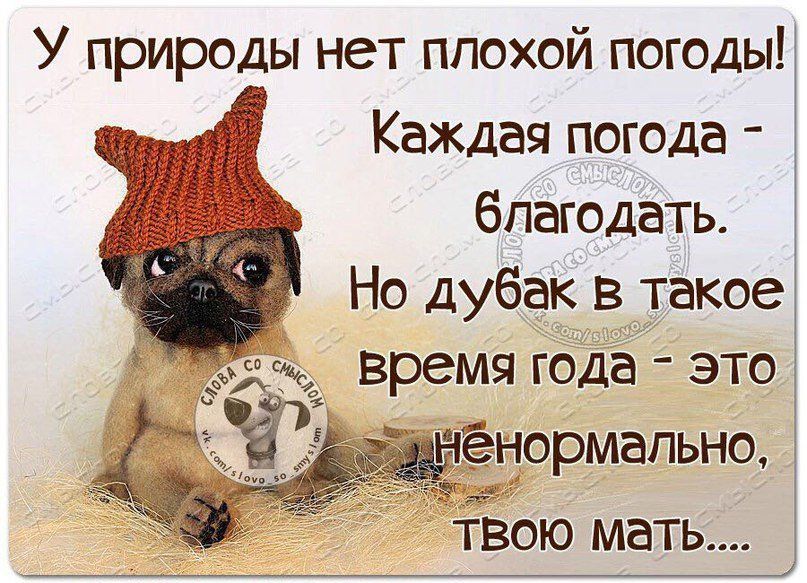 У природы нет плохой погоды Каждая погода благодать Но дубак в такое время года это нёцормапьно твою мать
