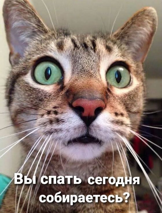 собираетес З